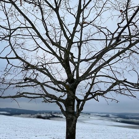 Eifel-Bau-Traum Schlich Βίλα Wershofen Εξωτερικό φωτογραφία