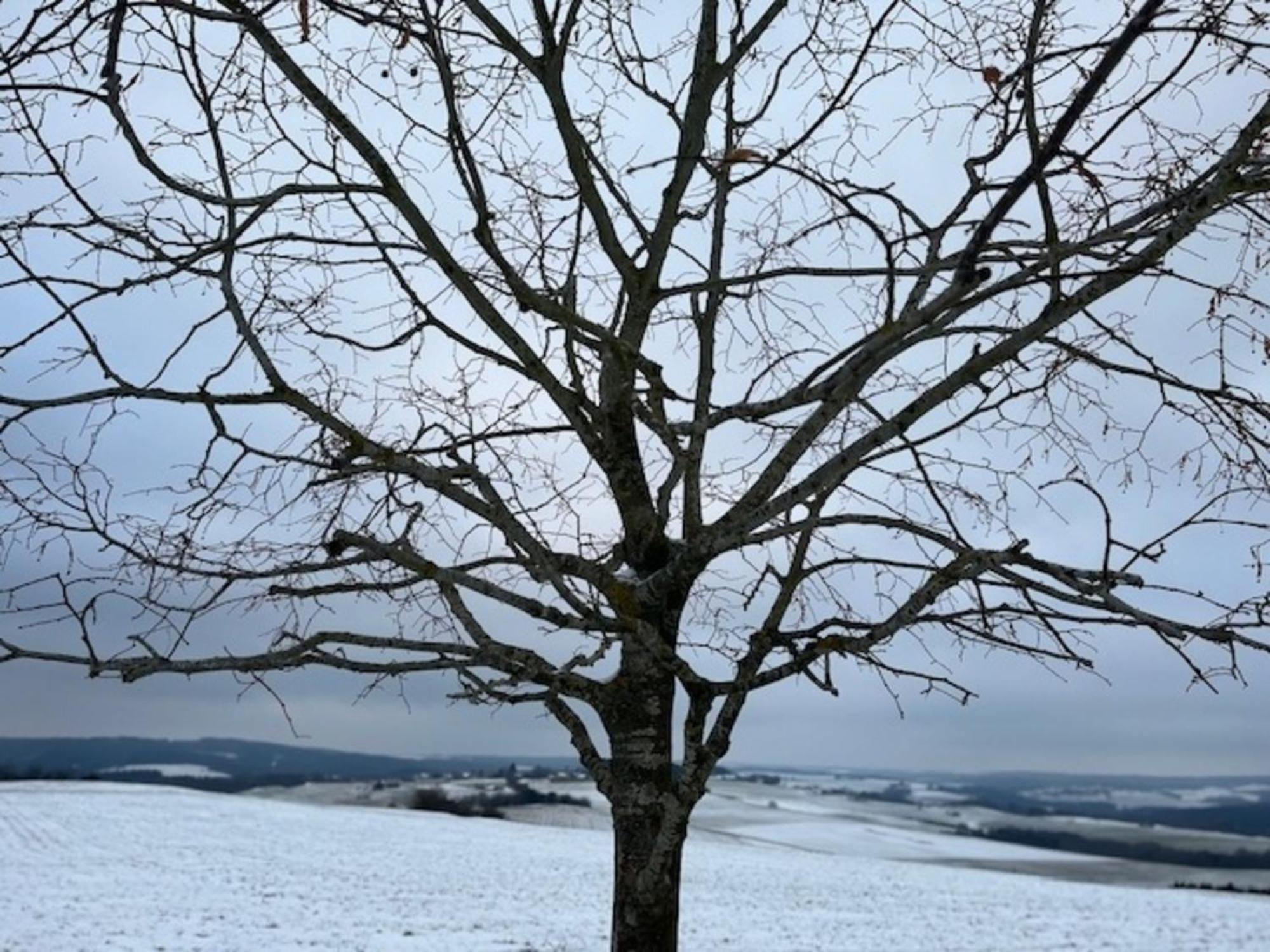 Eifel-Bau-Traum Schlich Βίλα Wershofen Εξωτερικό φωτογραφία